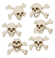 Human skull with crossbones vector image
