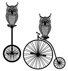 Owls with old bicycle vector image