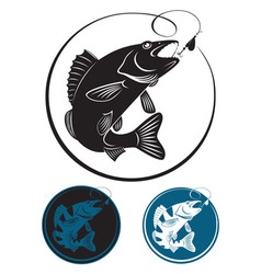 The fish walleye vector image