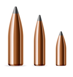 Set of bullets vector image