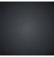 Carbon background vector image