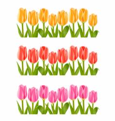 Colour tulip flowers set vector image