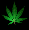 Pot Leaf vector image