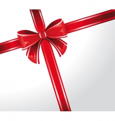 Gift wrap ribbon vector image