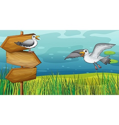 Two chirping birds vector image