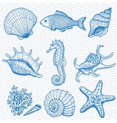Sea hand drawn vector image