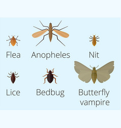 Colorful insects icons isolated wildlife wing vector image