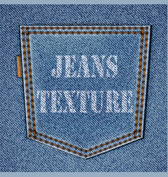 Back jeans pocket vector image