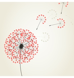 Dandelion seeds vector image