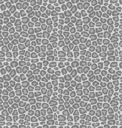 Seamless skin texture Seamless skin texture vector image