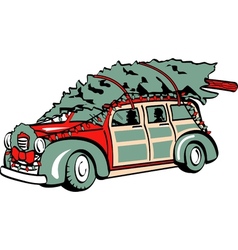 Xmas Tree on Sedan vector image