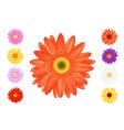 Colourful gerbers set vector image