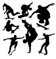 Skateboarders vector image