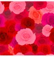 Rose wallpaper pattern vector image