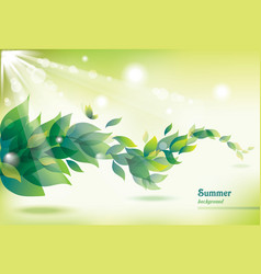 Abstract summer background with green leaves vector image