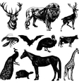 Animals vector image