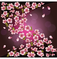 Background with sakura Japanese cherry tree vector image