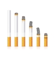 Realistic Cigarette Set Different Stages of Burn Realistic Cigarette Set Different Stages of Burn vector image
