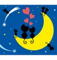 Cats on the moon vector image