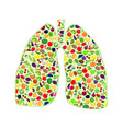 Lungs healthy silhouette Lungs healthy silhouette vector image