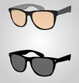 Sunglass vector image