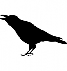 Raven vector image