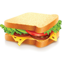 Sandwich vector image