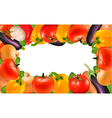 Frame made of vegetables vector image