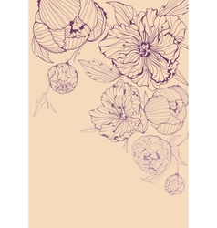Background with gentle peony vector image