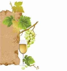 White wine vector image