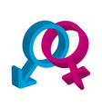 Male female symbol vector image