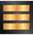 Black and golden background vector image