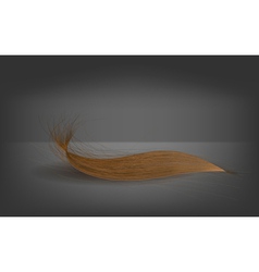 Hair vector image