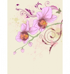 Floral patterns vector image