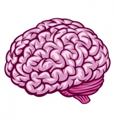 Brain vector image