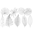 Set of tropical palm leaves black vector image