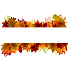 Fall Background vector image