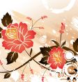 Floral abstraction vector image