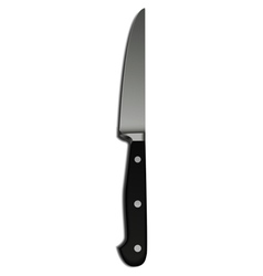 Knife vector image
