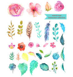 Watercolor floral collection Watercolor floral collection vector image