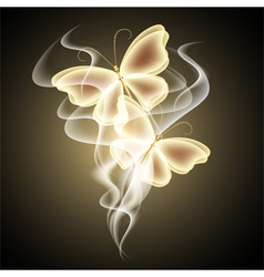 Glowing butterflies vector image