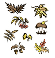 Fall images for decoration vector image