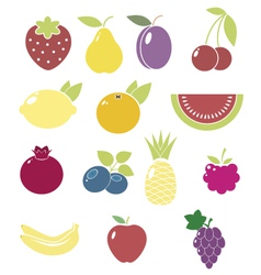 Fruit icons Fruit icons vector image
