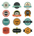 Set of retro vintage badges and labels vector image