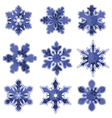 Snowflakes vector image
