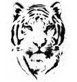 Tiger stencil vector vector image