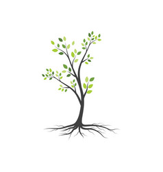 Tree branch design Royalty Free Vector Image - VectorStock