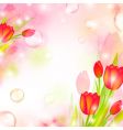 Floral frame vector image
