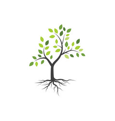 Tree branch design Royalty Free Vector Image - VectorStock