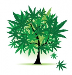 Cannabis vector image